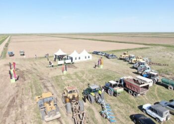 Қазалыда егін даласына алғашқы дән себілді