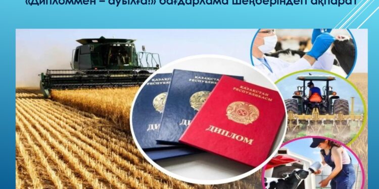 Дипломмен ауылға