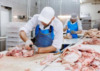 Қазақстанда ет өнідірісі артып келеді