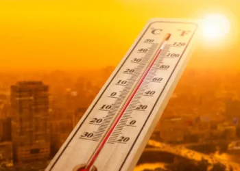 Қазақстанда 46 градусқа дейін аптап ыстық болады