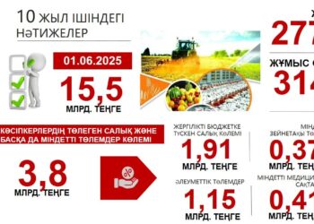 Кәсіпкерлер бюджетке 2 млрд теңгеге жуық салық төледі