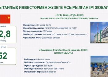 Аймақта Қытайлық инвесторлардың қатысуымен 2 ірі зауыт іске қосылған