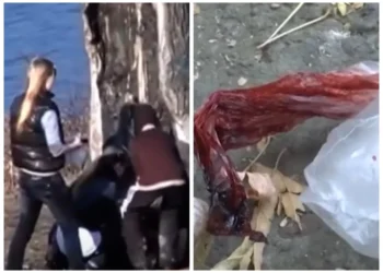 Қазақстандық жасөспірімдер жаңа қауіпті тренд бастады