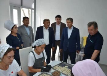 «Ауыл аманаты»: Депутат  бизнес-инкубатор жұмысын көрді