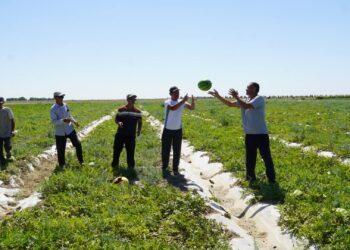 Жаңақорған — жаңғыру мен дамудың мекені