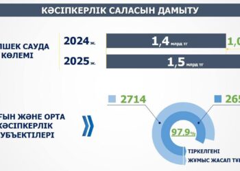 Сырдария ауданында кәсіпкерлік саласын дамыту жұмыстары жалғасуда