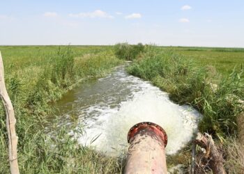 ҚР Су ресурстары және ирригация министрі Жаңақорған мен Шиелідегі егіс алқаптарын аралады