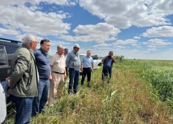 Қазалыда су шаруашылығы мен ауыл шаруашылығын дамыту жолдары талқыланды