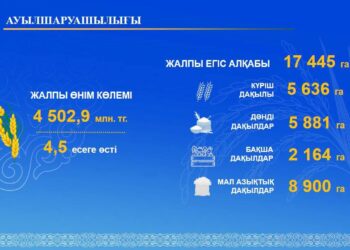 Аудан диқандары 17445 гектар жерге ауылшаруашылығы дақылдарын орналастырды