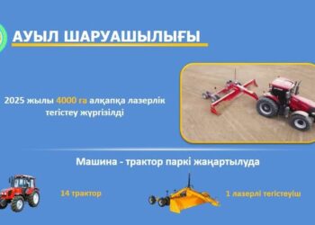 Жаңақорған ауданында ауыл шаруашылығы қарқынды дамуда