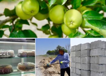 Кәсіпкерлік көкжиегі кеңейген Жалағаш