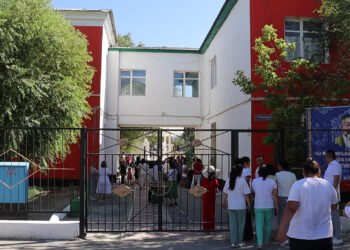 Бүлдіршіндер қайда барады?