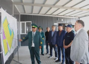 Депутаттар орман тұқымбағының жұмысымен танысты