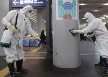 Қытайда маса арқылы таралатын чикунгунья вирусы өршіп тұр