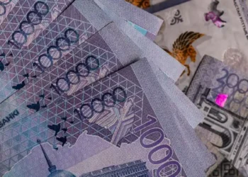 Қызылордада «Даму бала» платформасы арқылы  88 млн теңге жымқырғандар сотталды