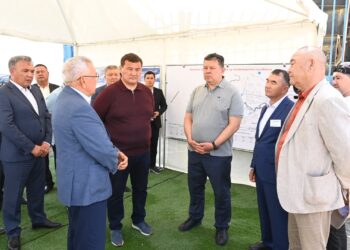 Премьер-министрдің орынбасары Қазалы ауданындағы агросектордың жай-күйімен танысты