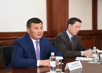 Жүгері өңдеу өндірісі: Қызылорда облысында жаңа жобаны жүзеге асыру жолдары қарастырылуда