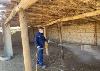 Кенеге қарсы күзгі улау жұмыстары жүруде