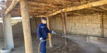 Кенеге қарсы күзгі улау жұмыстары жүруде