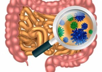 Жіті ішек инфекцияларының қалай алдын алуға болады