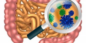 Жіті ішек инфекцияларының қалай алдын алуға болады