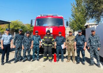 Тілсіз жауды тізгіндеудегі тәртіп