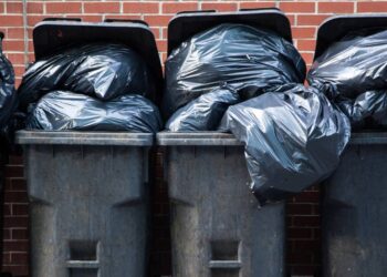 Шымкентте із-түссіз жоғалған 26 жастағы қыздың мәйіті қоқыс жәшігінен табылды