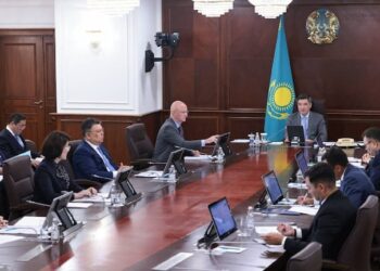 Мемлекет басшысы ана мен бала өлімі деңгейін төмендетуді денсаулық сақтау жүйесін дамытудың маңызды басымдығы ретінде айқындап берді – Олжас Бектенов