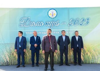 «Дала күні – 2025»: Күрішке алғашқы орақ салу рәсімі өтті