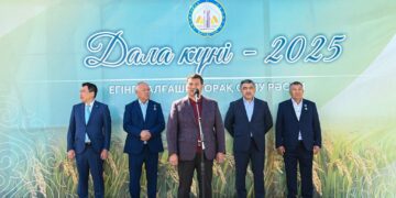«Дала күні – 2025»: Күрішке алғашқы орақ салу рәсімі өтті