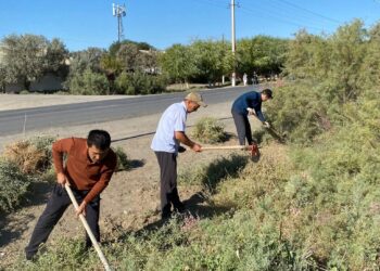 Қазалыда «Таза Қазақстан» республикалық акциясы аясында сенбілік өткізілді