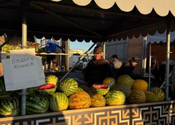 Қазалы ауданының ауыл шаруашылығы өнімдері Астана төріндегі жәрмеңкеде
