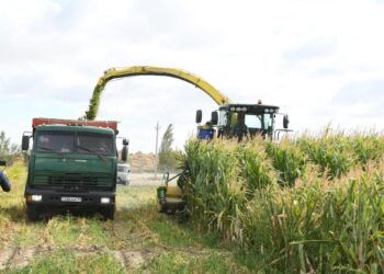 Қазалы ауданындағы егін шаруашылығында су үнемдеу технологиялары қолданылуда