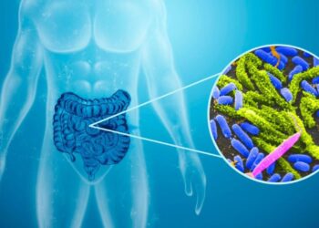 Аймақта тырысқақ ауруы тіркелген жоқ