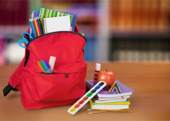 Оқушы сөмкесінің салмағы қандай болуы керек?