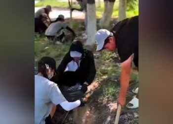 Қызылордада ерікті жастар мен пробация есебіндегілер сенбілікке қатысты