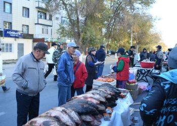 Қызылордада Қазалы ауданының ауыл шаруашылығы өнімдерінің жәрмеңкесі басталды