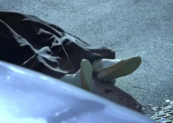 20 жастағы жігіт сүйіктісін пышақтап өлтіріп, мәйітін зорлаған