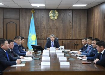 Мәжілісте міндетті медициналық сақтандыру мен көлеңкелі экономиканы азайту мәселелері қаралды