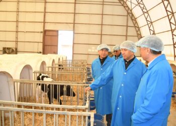 Қазалы ауданының әкімі “РЗА” акционерлік қоғамының жұмысымен танысты