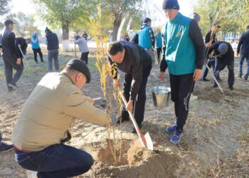 Сырдария ауданында “Таза Қазақстан” акциясы аясында көшеттер егілді