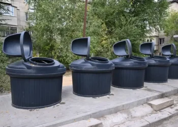 Жантүршігерлік оқиға: Мектеп оқушысы үй тазалаушы әйелді өлтіріп, денесін қоқысқа лақтырған