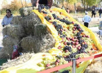 Қазалыда жәрмеңке ұйымдастырылды