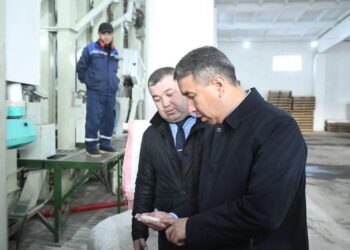 Аудан әкімі Қазалыдағы кәсіпкерлік нысандарды аралады