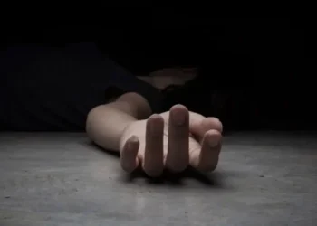 Ер адам әйелін тауық еті үшін аяусыз пышақтап өлтірген