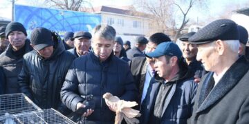 Қазалыда көгершіндер көрмесі өтті