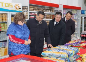 Аудан әкімі баға тұрақтылығына бақылау жүргізді