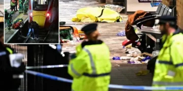 Пойызда белгісіз біреу адамдарға пышақпен шабуылдап, 10 адамды жарақаттаған