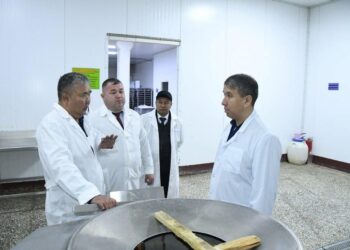 Аудан әкімі ауыл шаруашылығы мен кәсіпкерлік бағытындағы нысандардың жұмысымен танысты