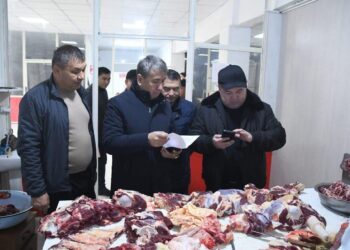 Әлеуметтік маңызы бар азық-түлік өнімдерінің бағасы тұрақты бақылауда